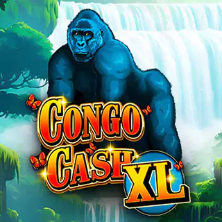 Congo Cash XL